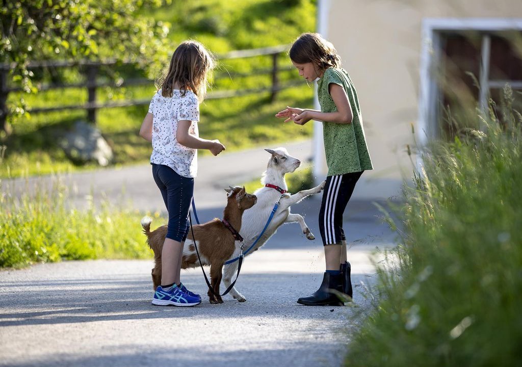 Photo of Others in Murau