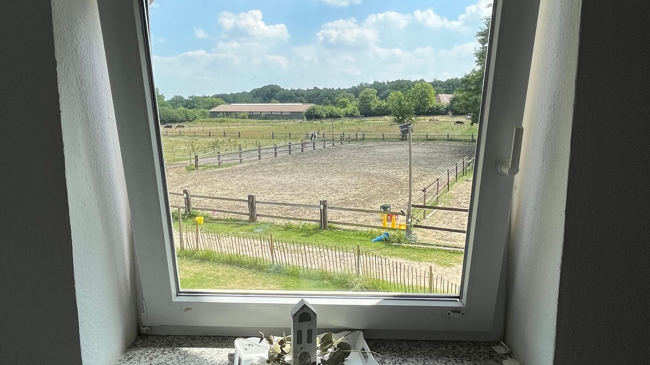 Photo of Others in Schwanewede