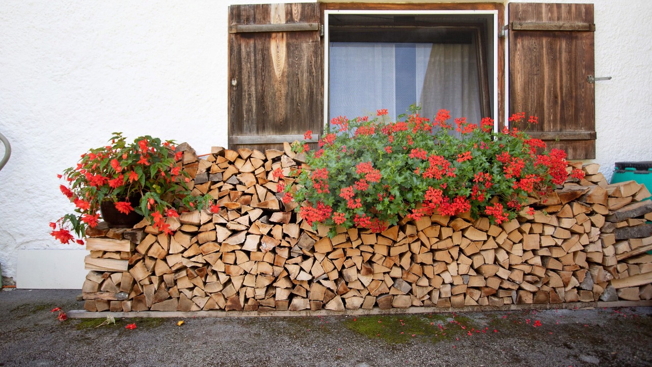 Photo of Outdoor in Fischbachau