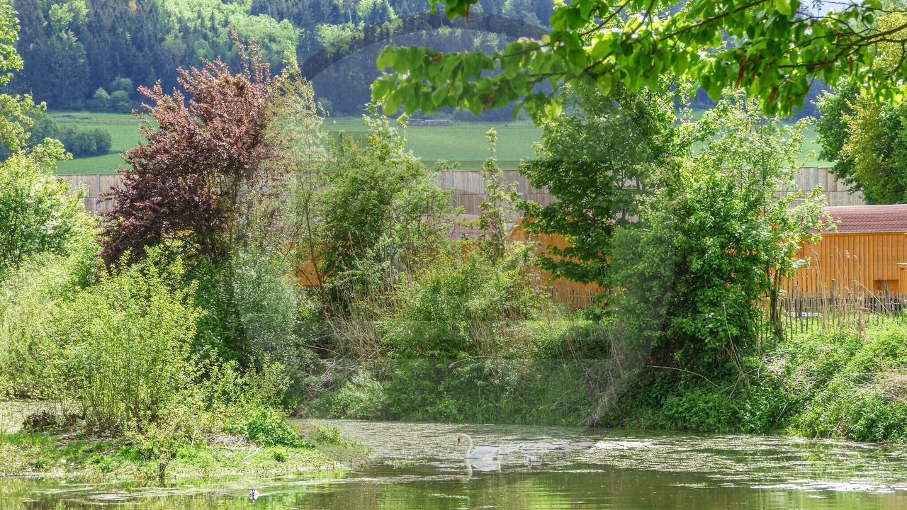 Photo of Others in Beilngries