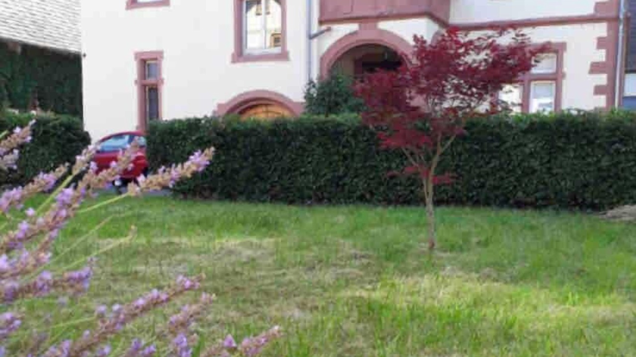 Photo of Others in Kippenheim