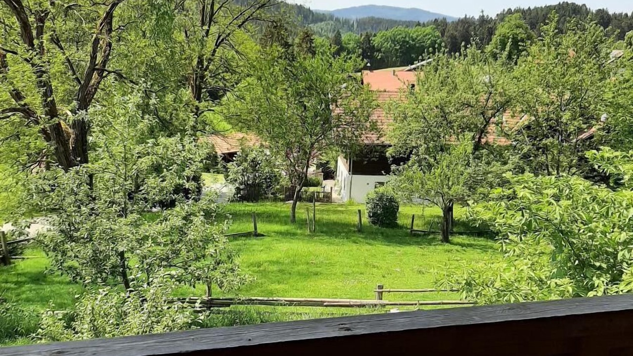 Photo of Outdoor in Viechtach
