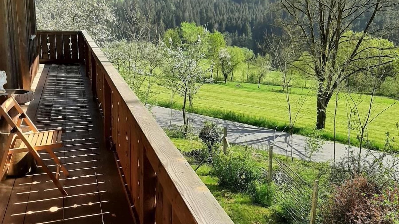 Photo of Patio Balcony in Viechtach