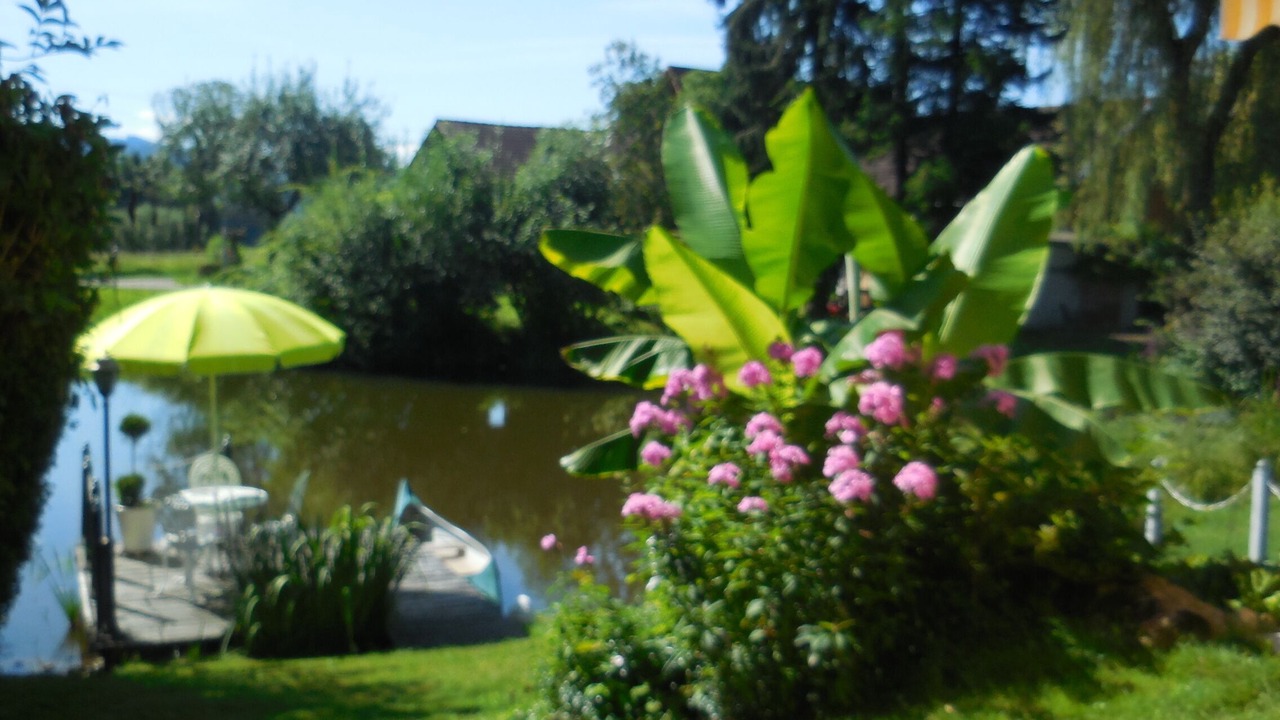 Photo of Outdoor in Mollenberg