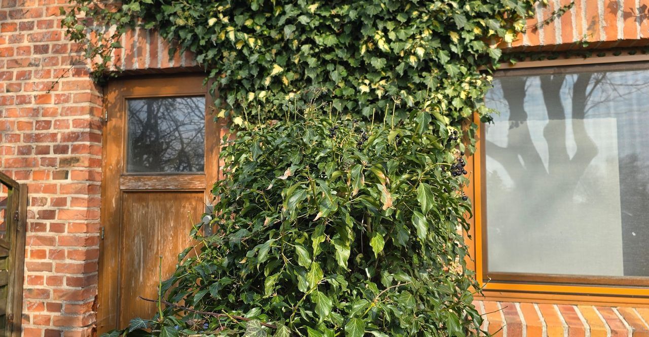 Photo of Outdoor in Hirschburg
