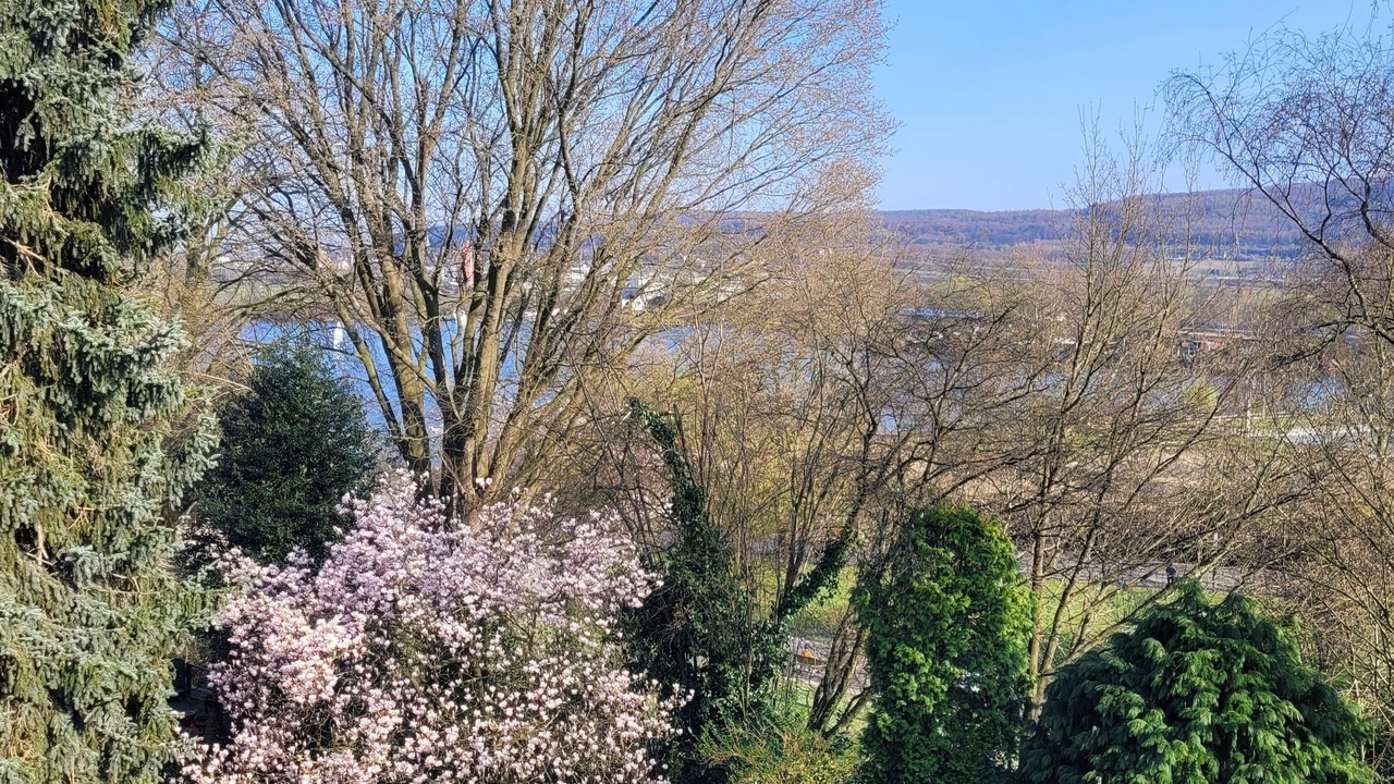 Photo of Outdoor in Alt-Wetter