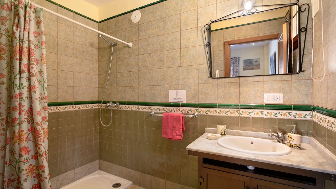 Photo of Bathroom in Icod de los Vinos