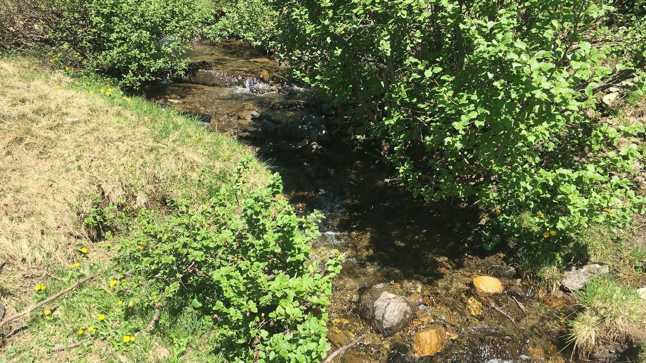 Photo of Others in Lachtal