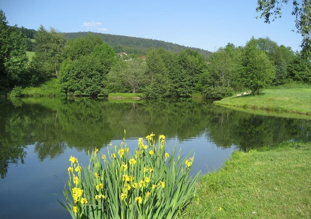 Photo of Outdoor in Grainet