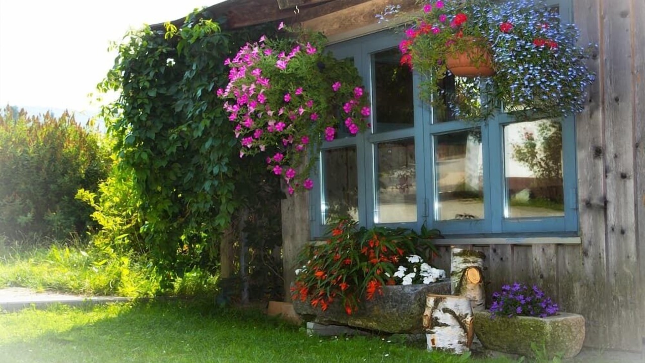 Photo of Outdoor in Grainet