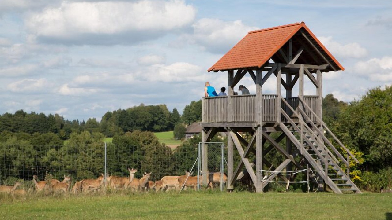 Photo of Outdoor in Theisseil