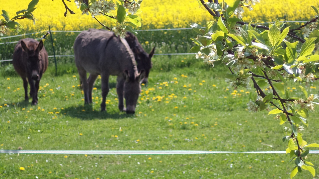 Photo of Outdoor in Theisseil