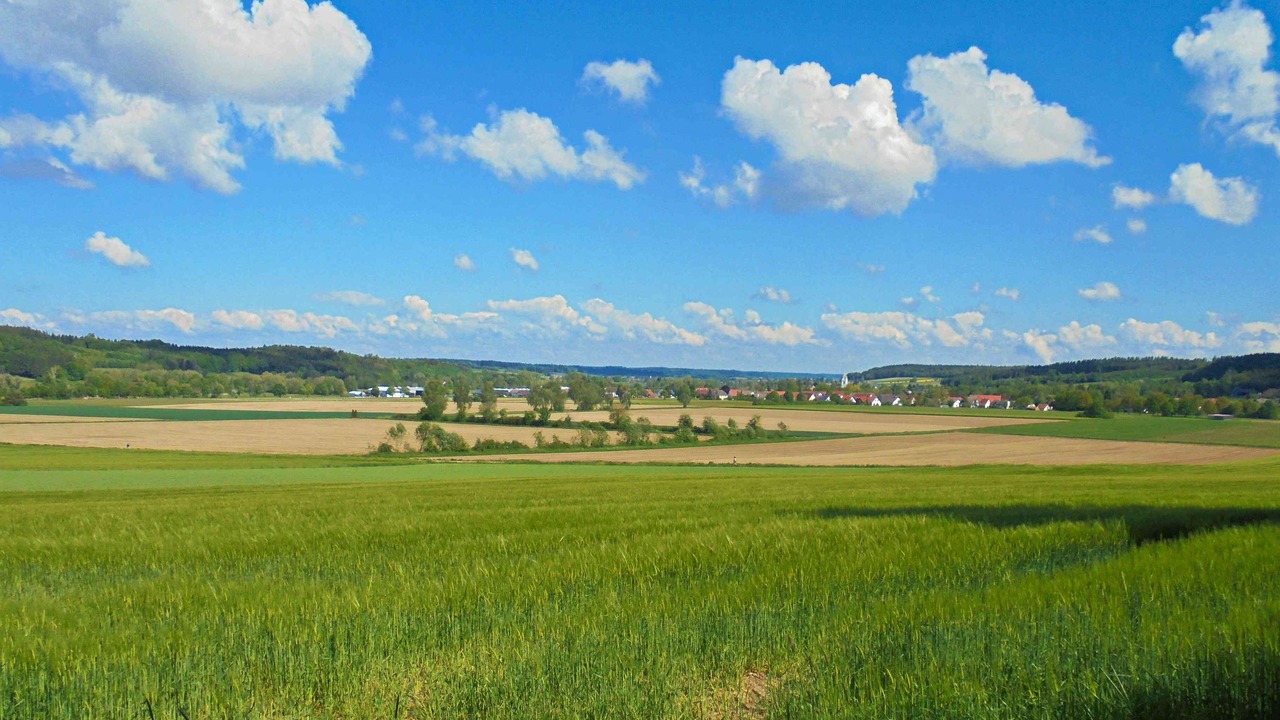 Photo of Others in Neuburg an der Kammel