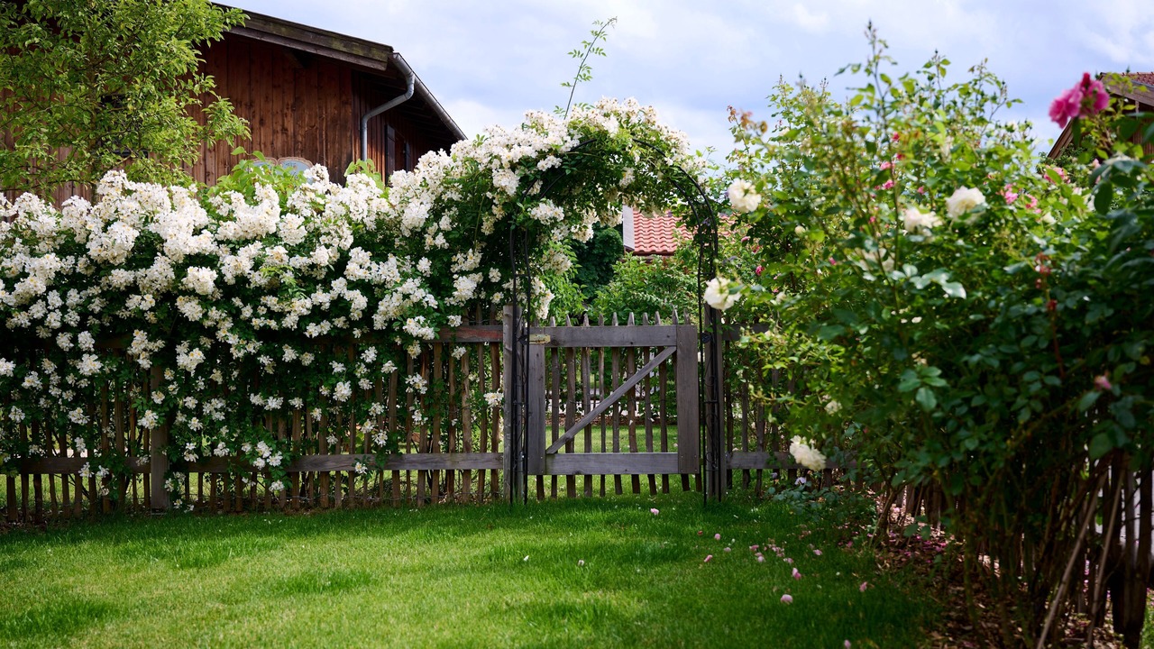 Photo of Outdoor in Bad Wiessee