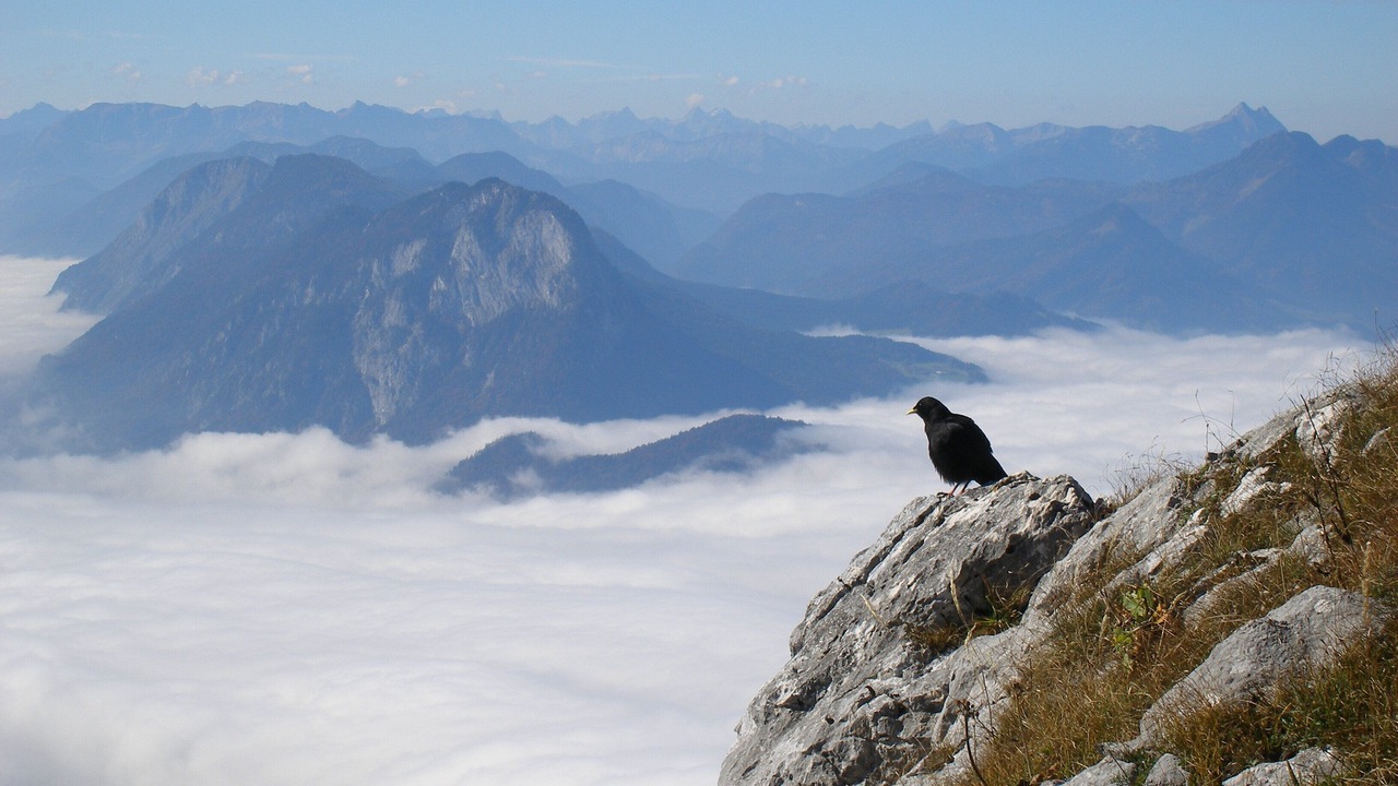 Photo of Others in Riedering
