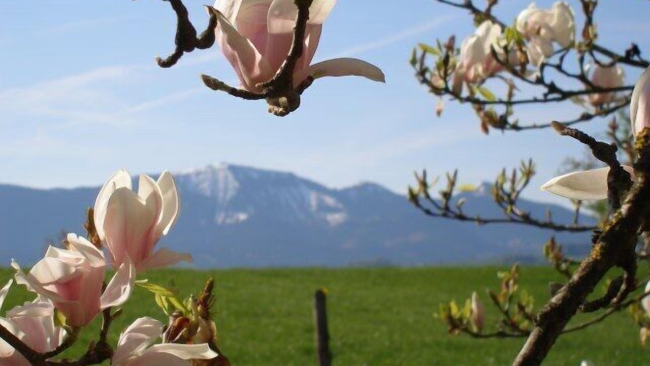 Photo of Outdoor in Riedering