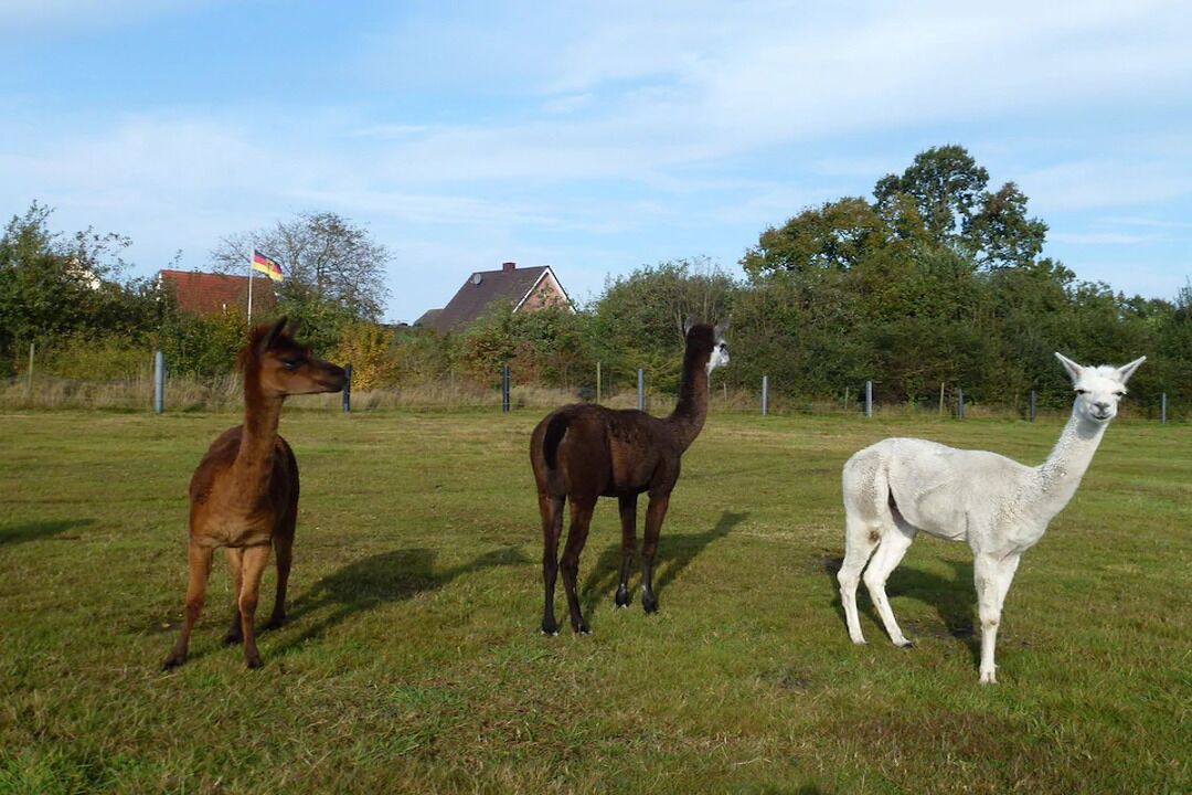 Photo of Outdoor in Gronau