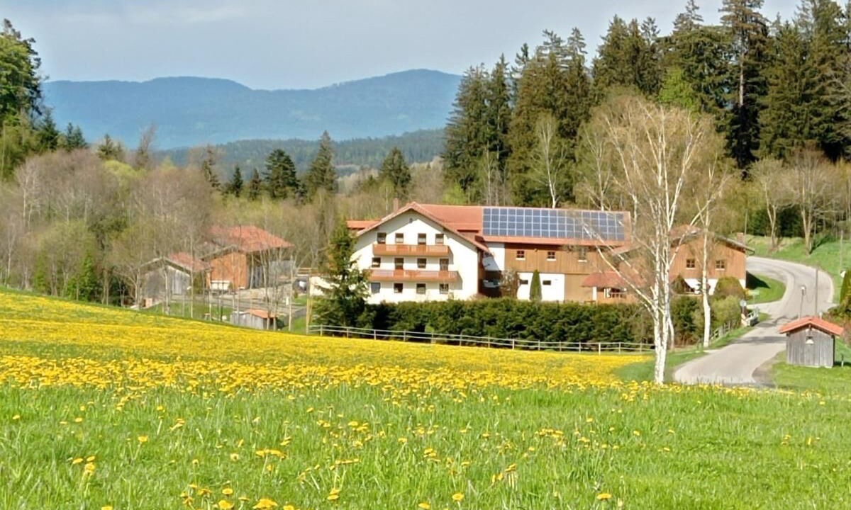 Photo of Outdoor in Kollnburg