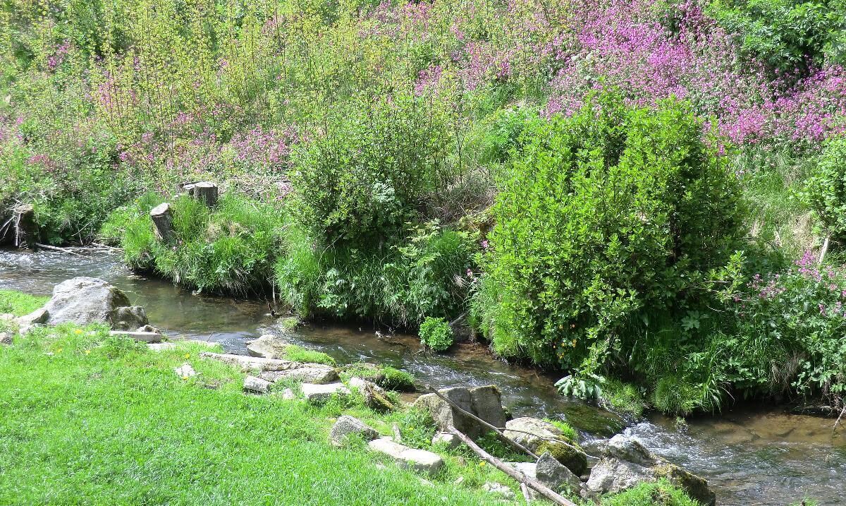 Photo of Outdoor in Kollnburg