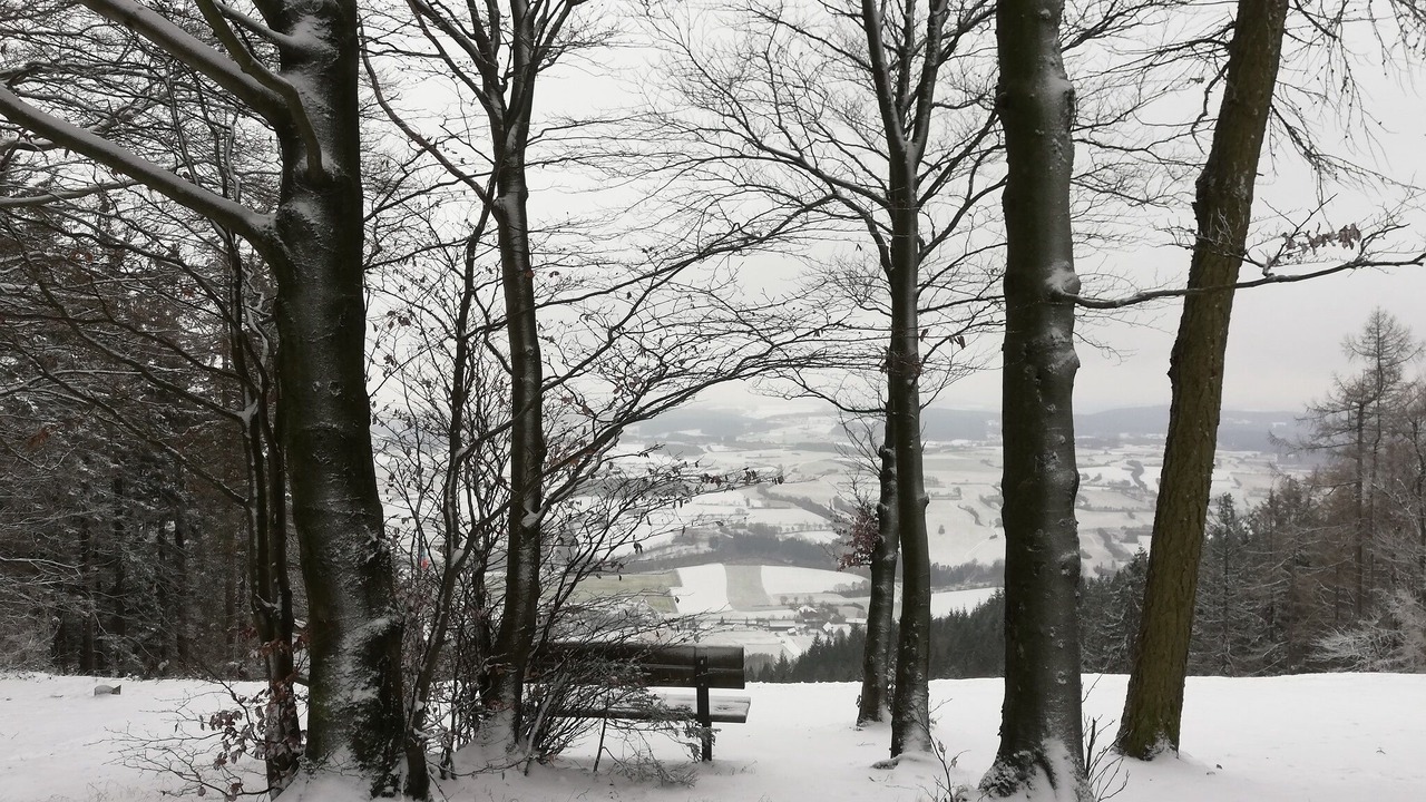 Photo of Others in Marktrodach