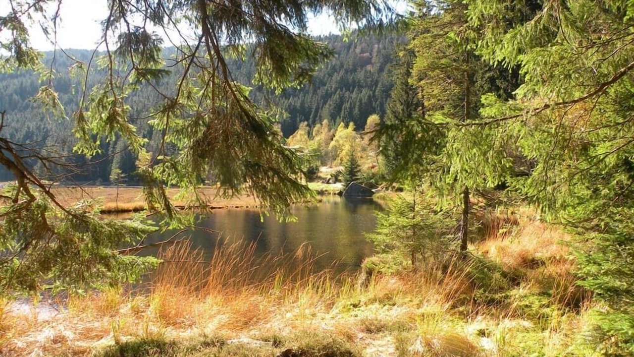 Photo of Outdoor in Bobrach