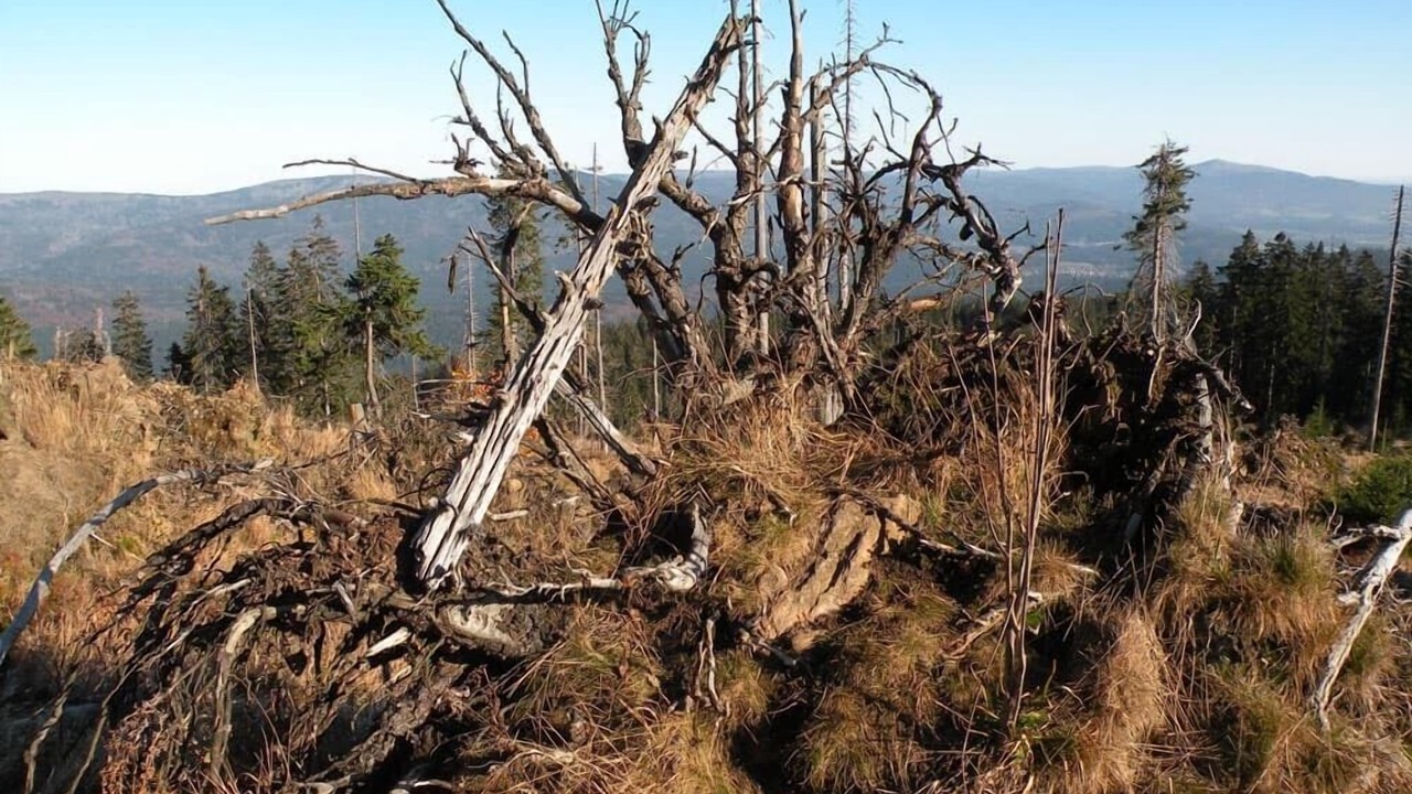 Photo of Outdoor in Bobrach