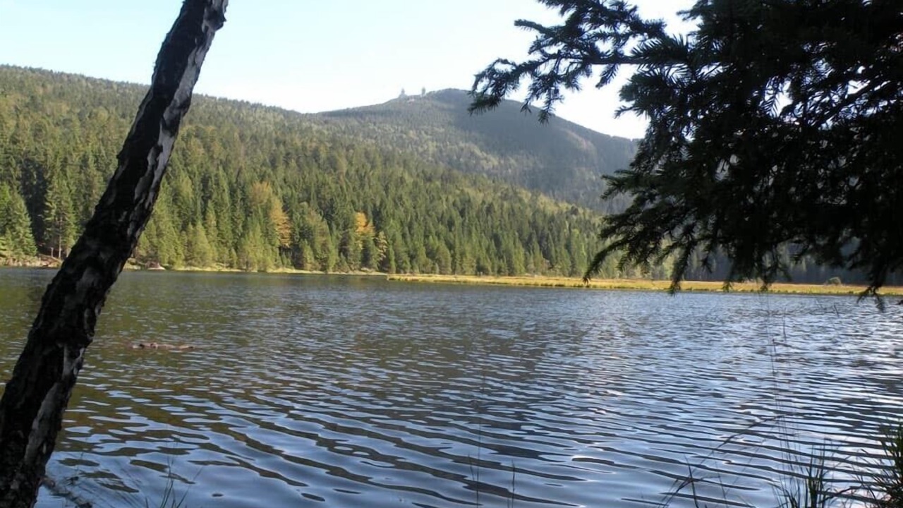 Photo of Outdoor in Bobrach