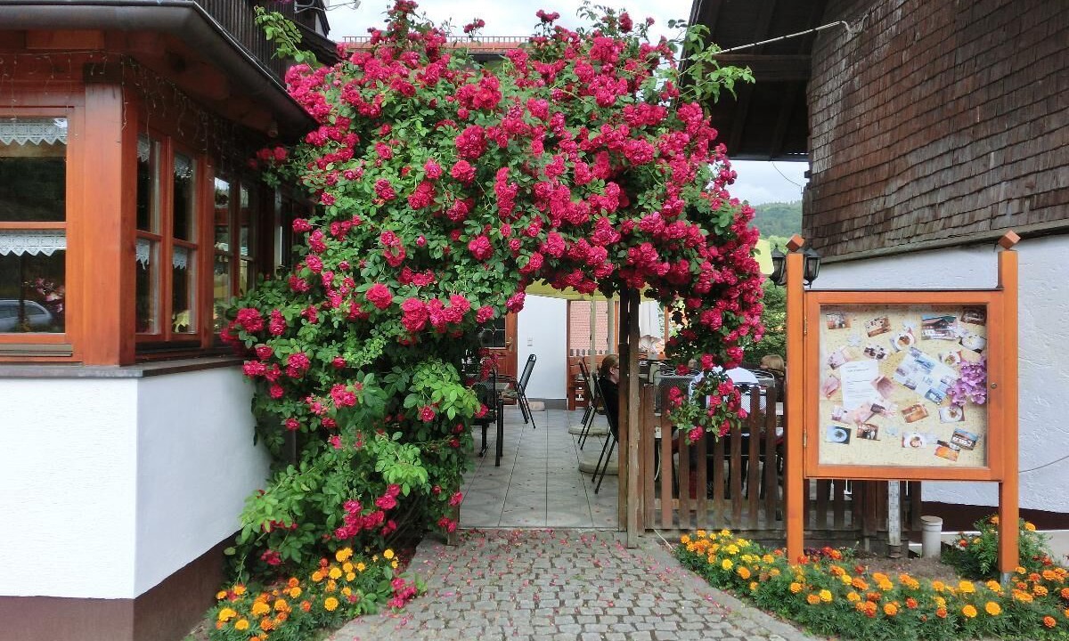 Photo of Outdoor in Elisabethszell
