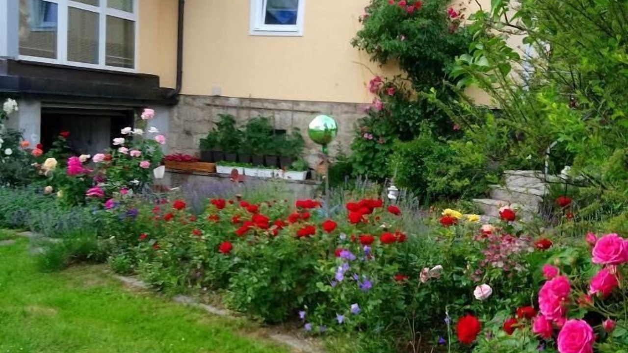 Photo of Outdoor in Freyung
