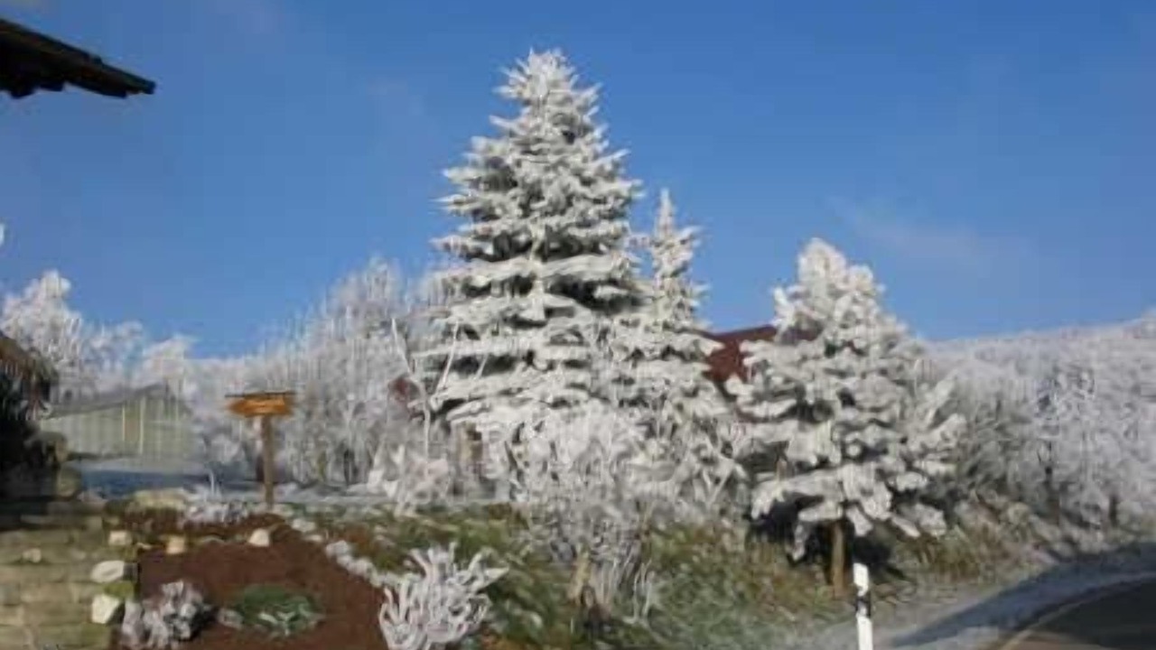 Photo of Outdoor in Falkenfels