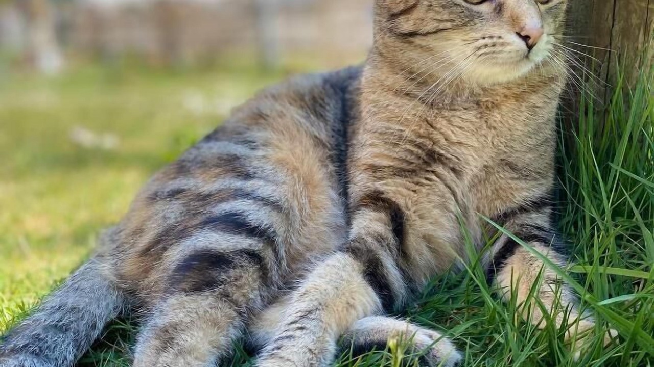 Photo of Outdoor in Posing