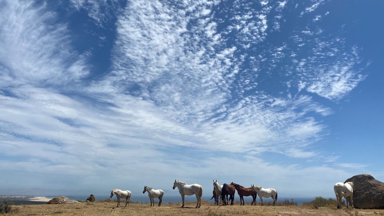 Photo of Others in Tarifa