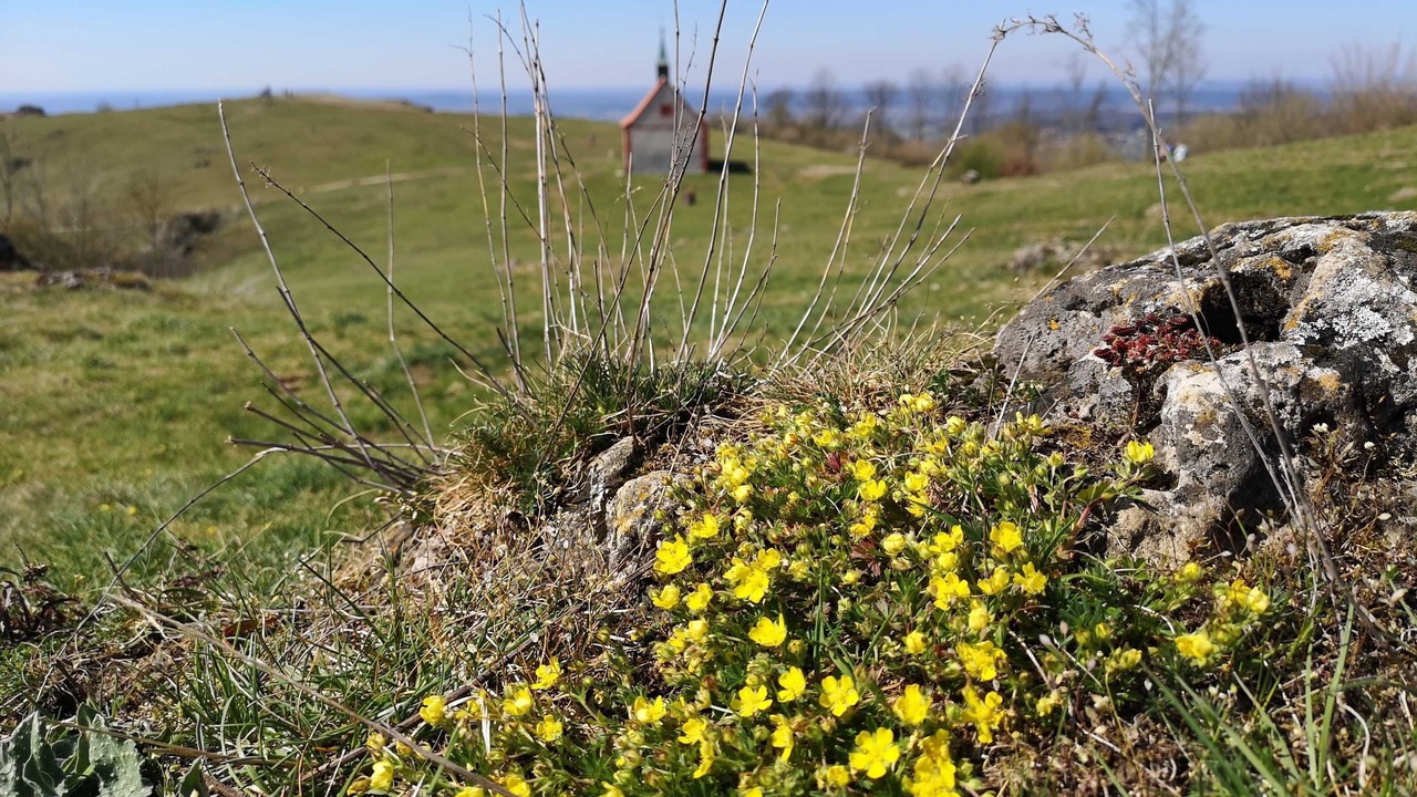Photo of Others in Wiesenthau