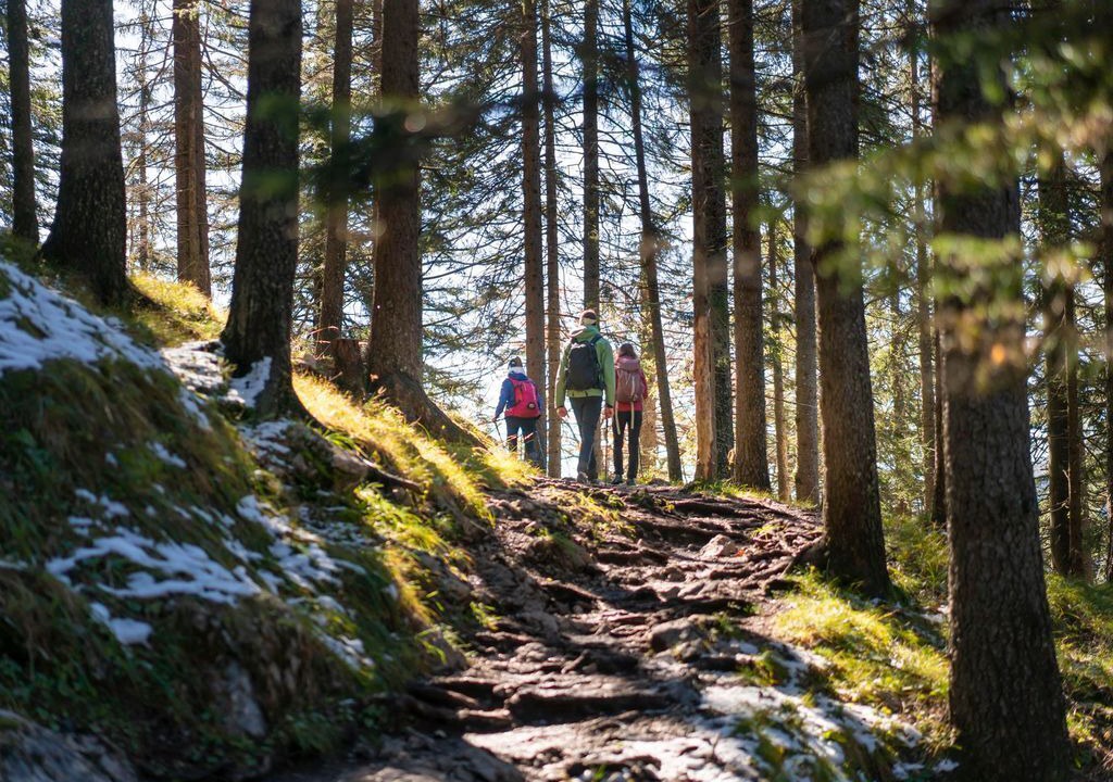 Photo of Others in Mittenwald