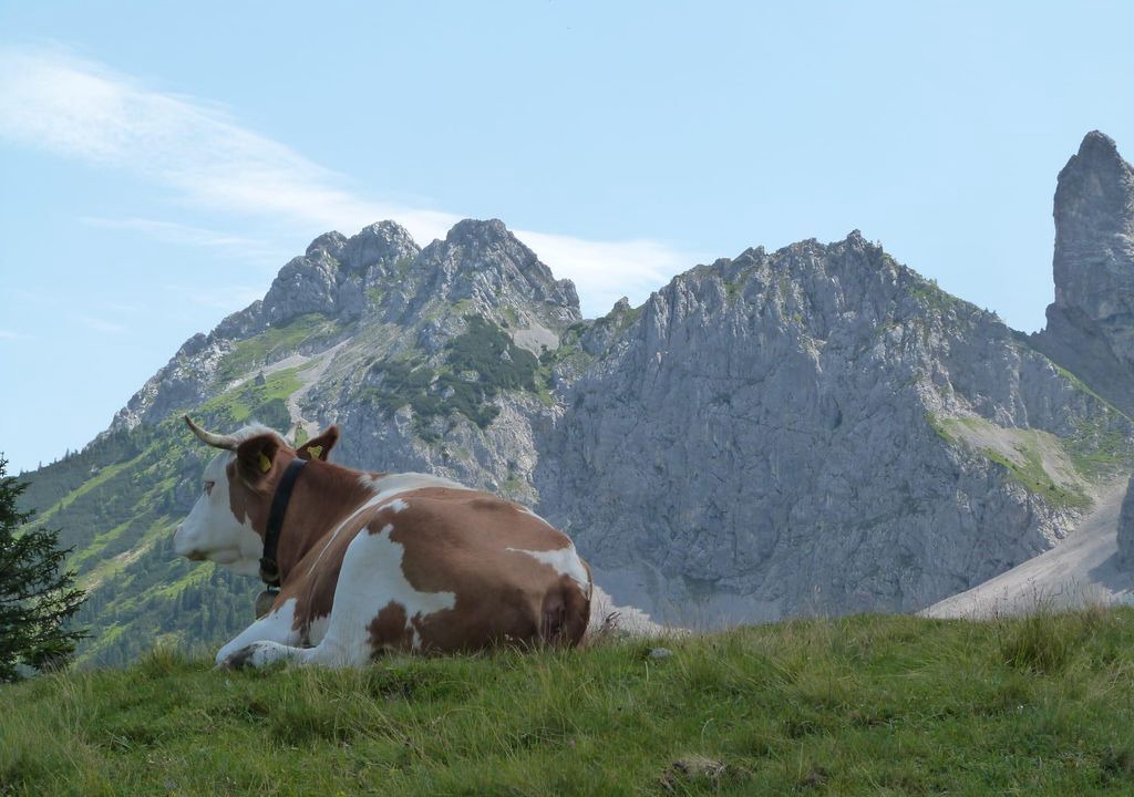 Photo of Others in Mittenwald