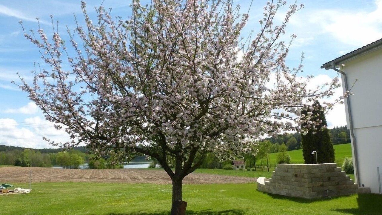 Photo of Outdoor in Absberg