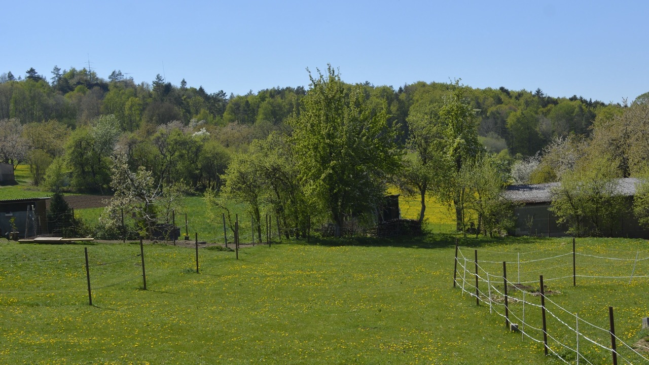 Photo of Outdoor in Egloffstein