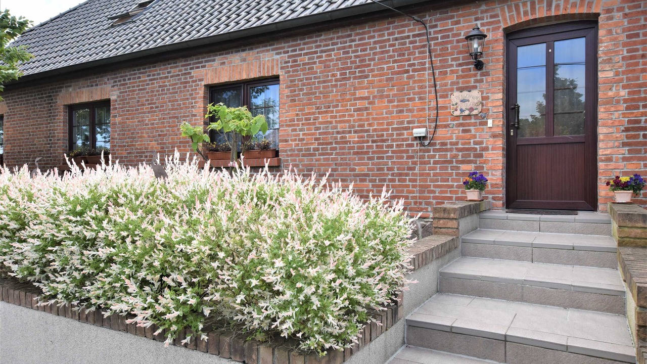 Photo of Outdoor in Satow