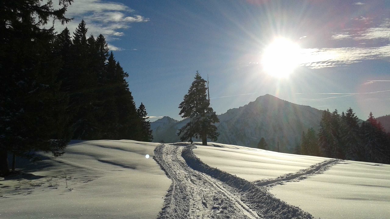 Photo of Others in Bad Wiessee