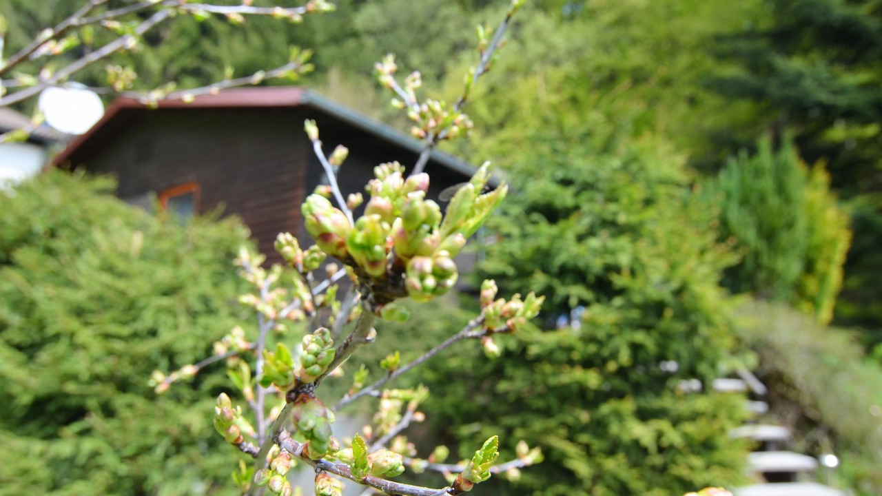 Photo of Outdoor in Schoensee