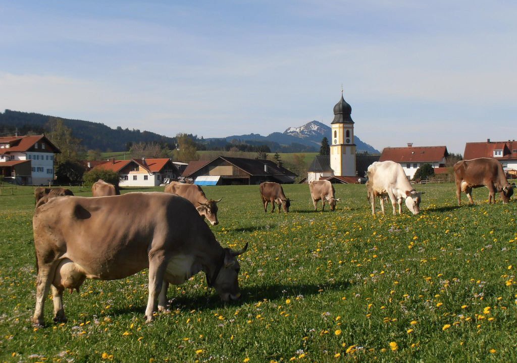 Photo of Others in Oy-Mittelberg