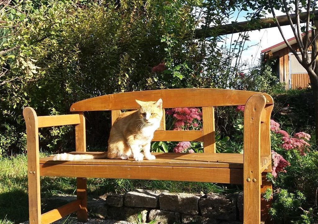 Photo of Outdoor in Rieden am Forggensee