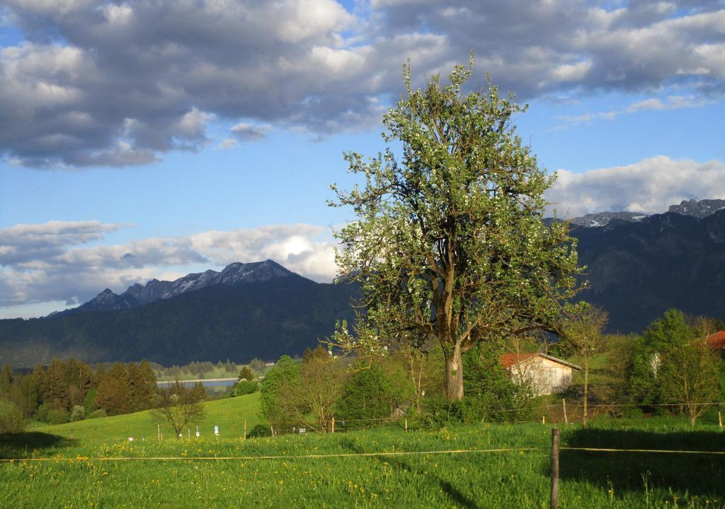 Photo of Others in Rieden am Forggensee