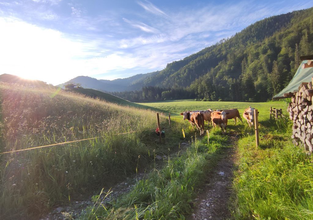 Photo of Others in Schneizlreuth