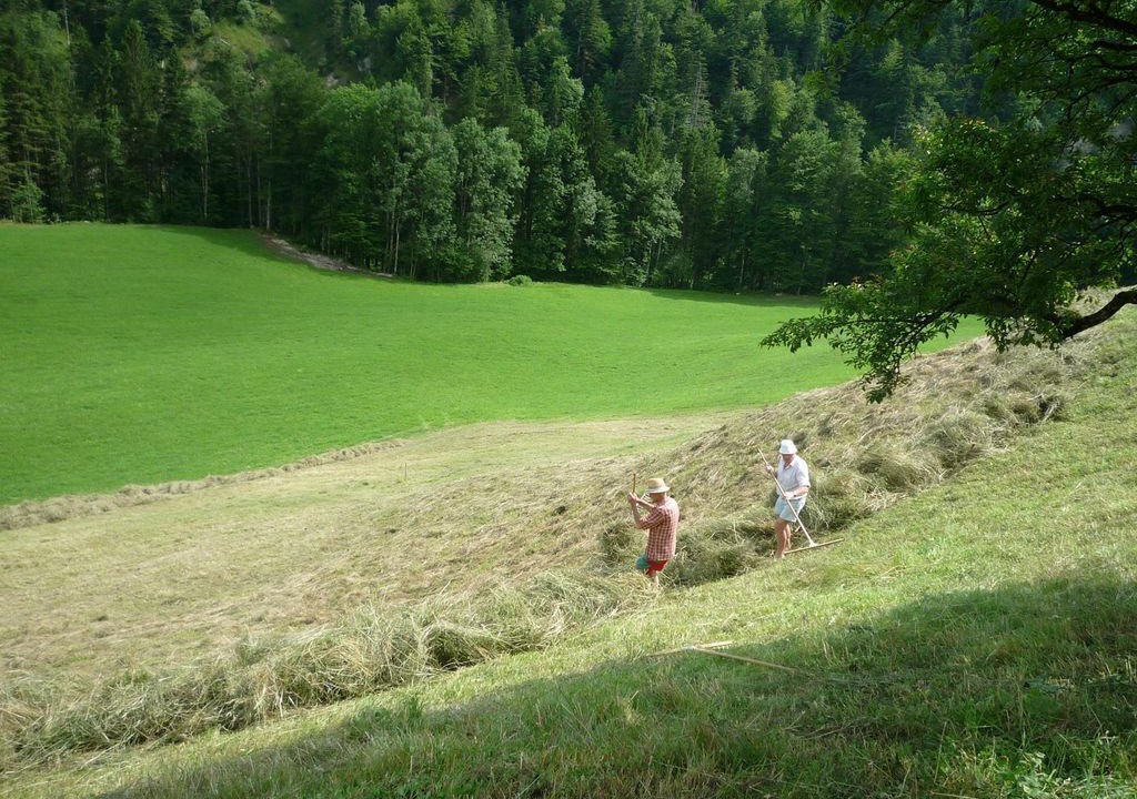 Photo of Others in Schneizlreuth