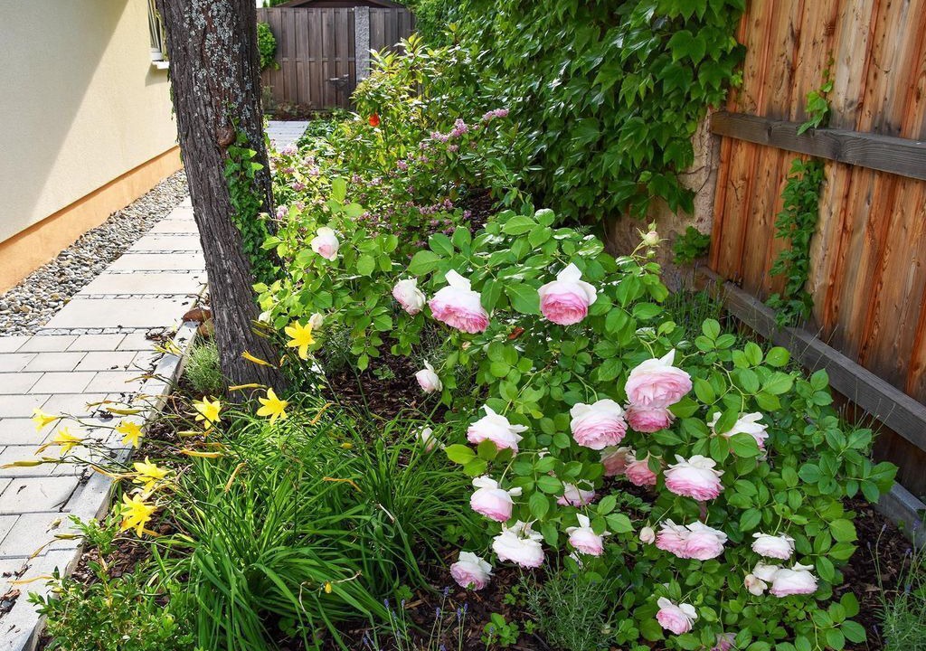 Photo of Outdoor in Dambach
