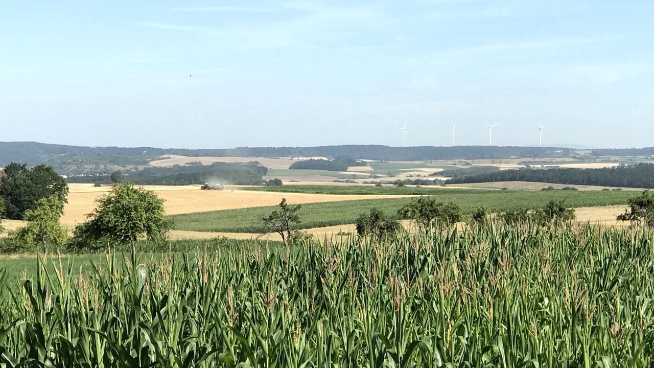 Photo of Others in Aidhausen