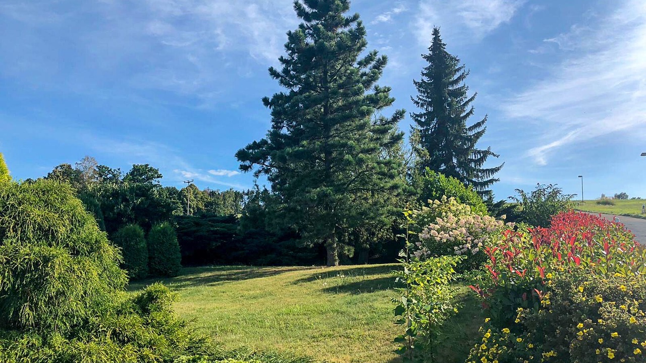 Photo of Outdoor in Struppen