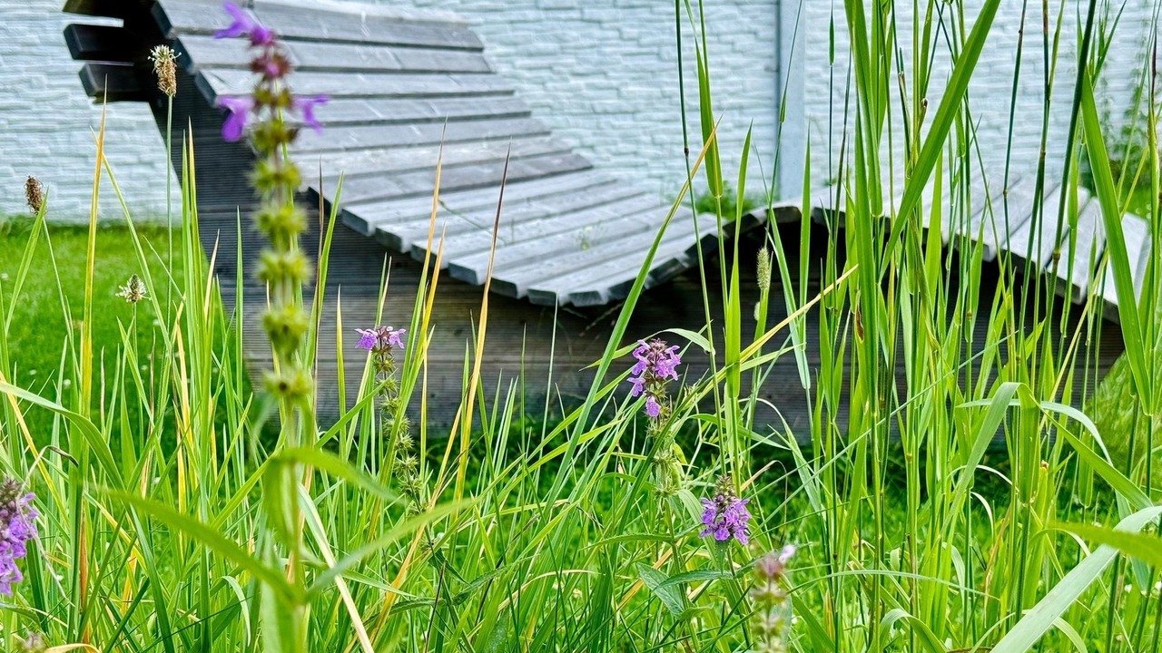 Photo of Outdoor in Wunsiedel