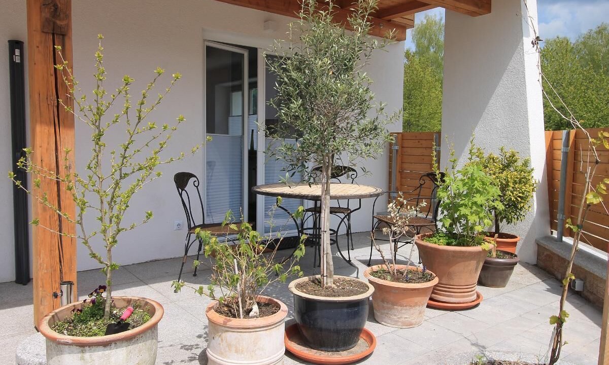 Photo of Outdoor in Regenhutte